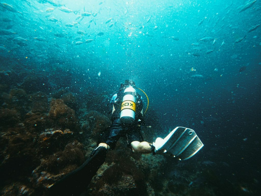 How Many Dives on a Komodo Dive Cruise?